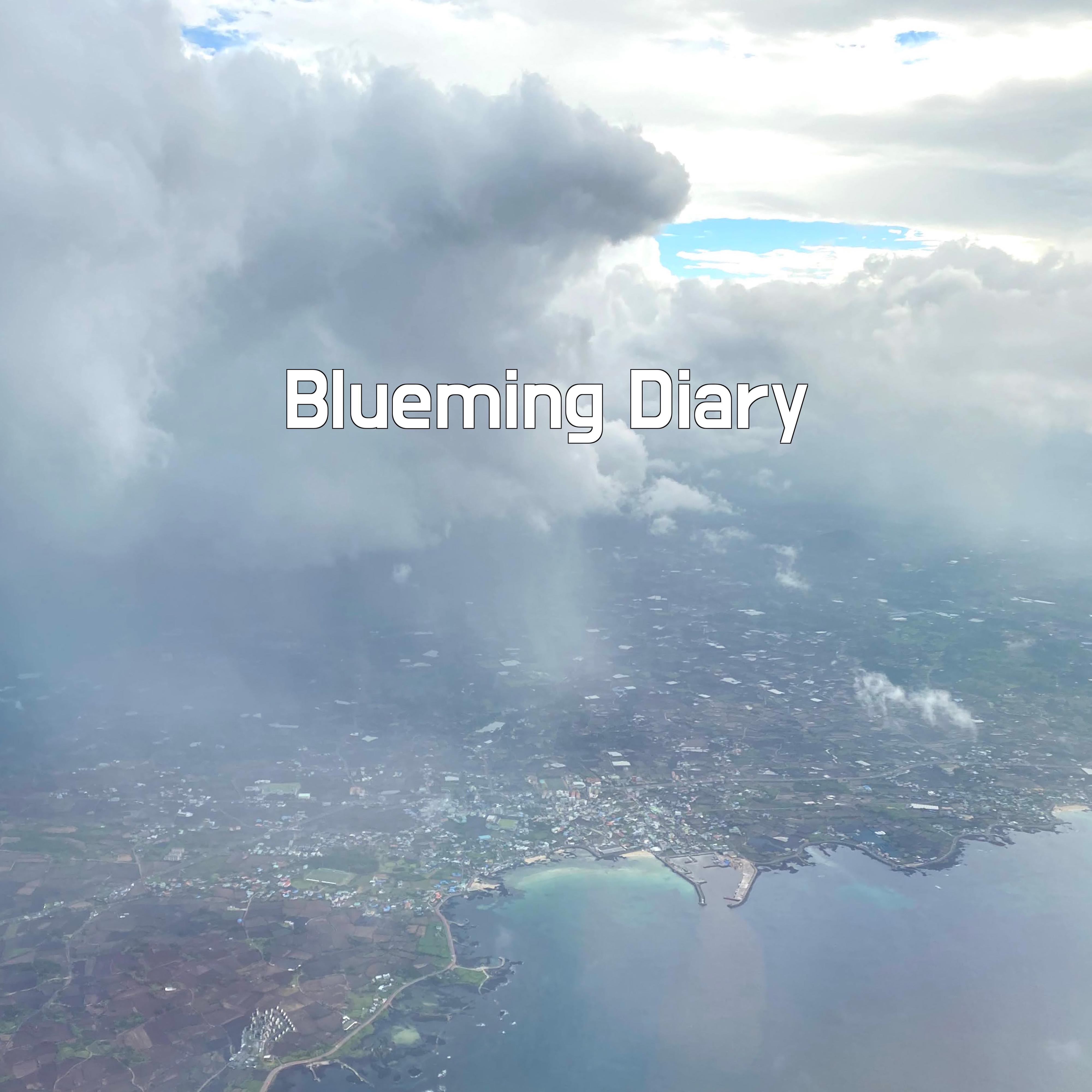 Blueming Diary — 이상걸 공식 발매 앨범 자켓